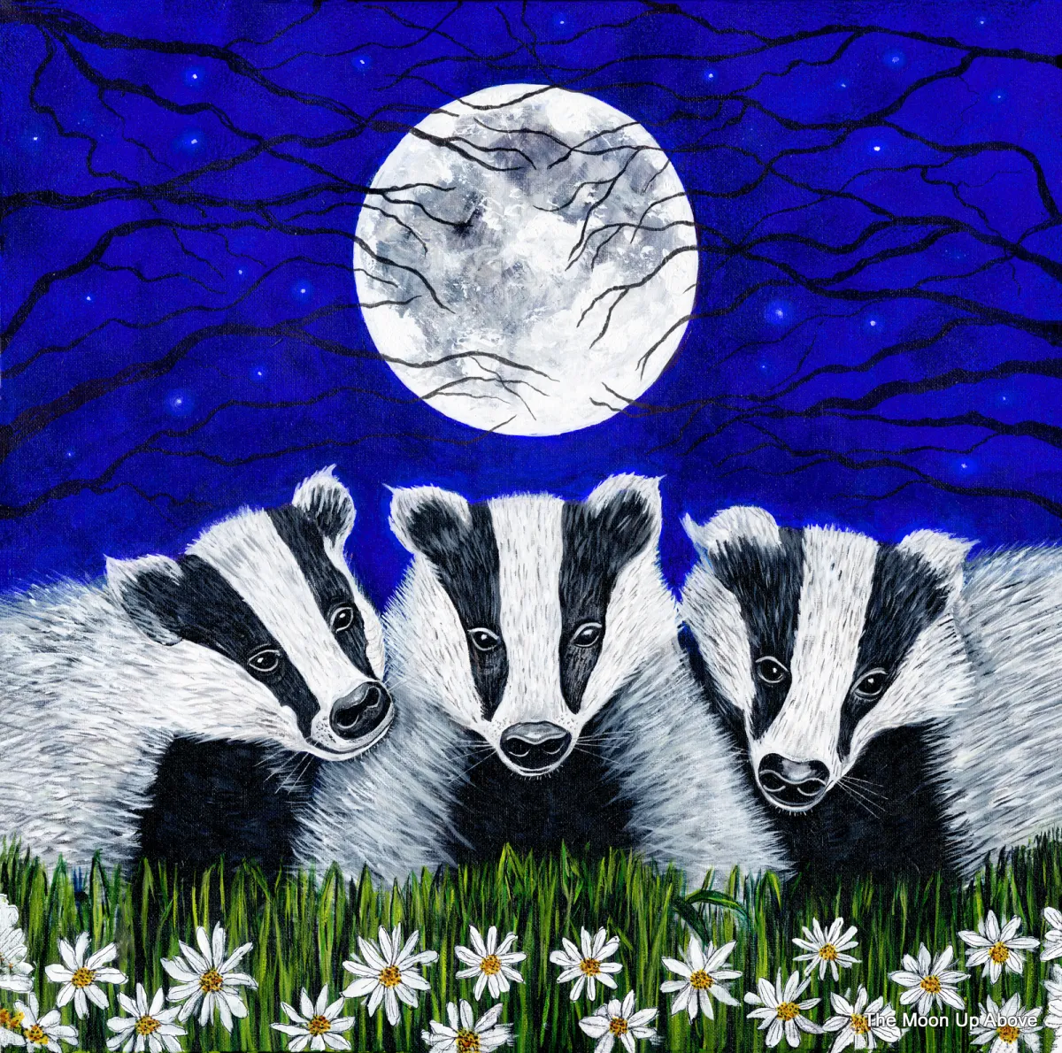 Framed Badger Print