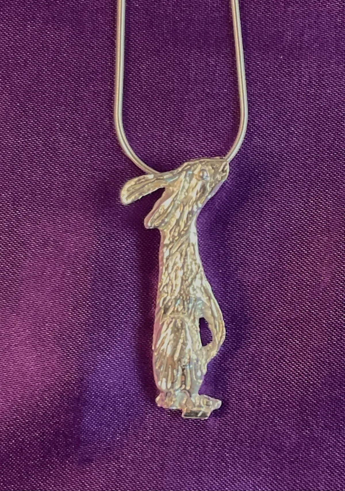 Sweet textured silver Hare