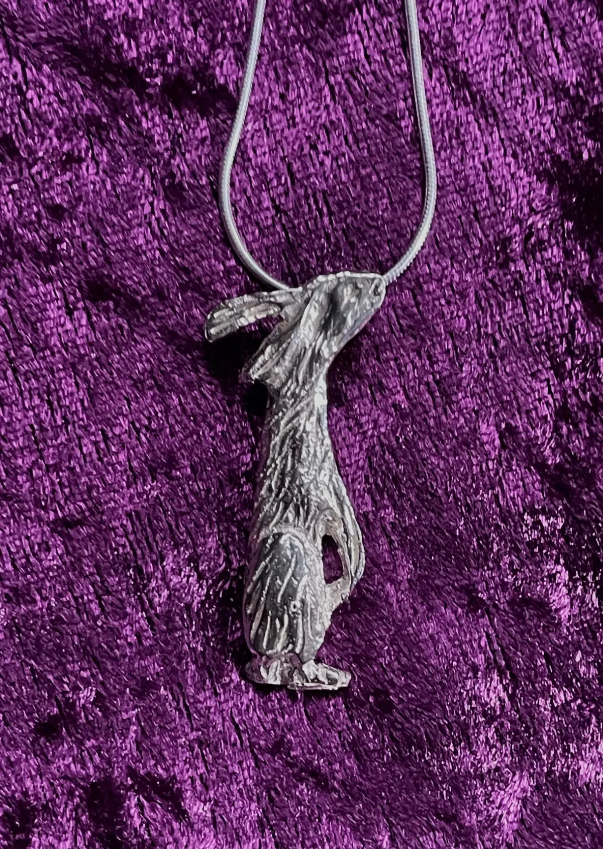 Sweet textured silver Hare