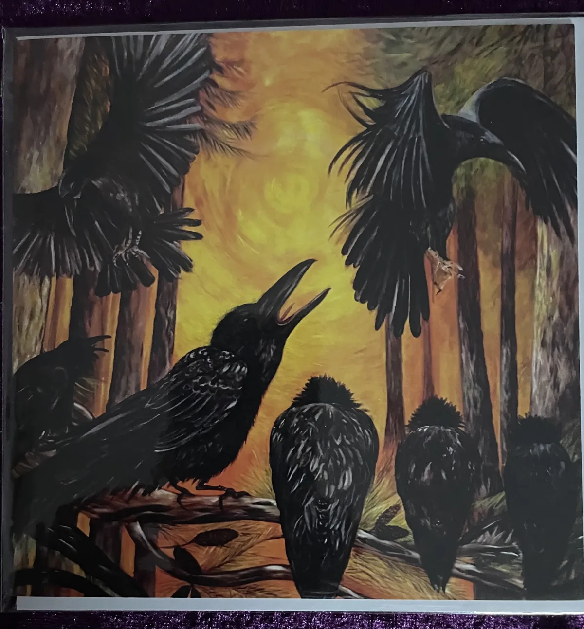 Art Greeting Cards Bundle A